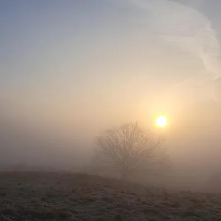 Zapach Wyspy * Gdańsk