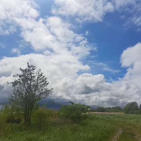 ロッジ Zapach Wyspy グダニスク